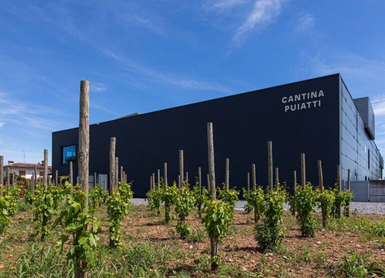 Cantina Puiatti Winery