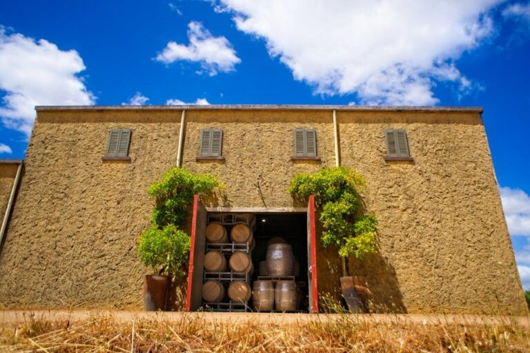 Rosily - low ground winery door open bright