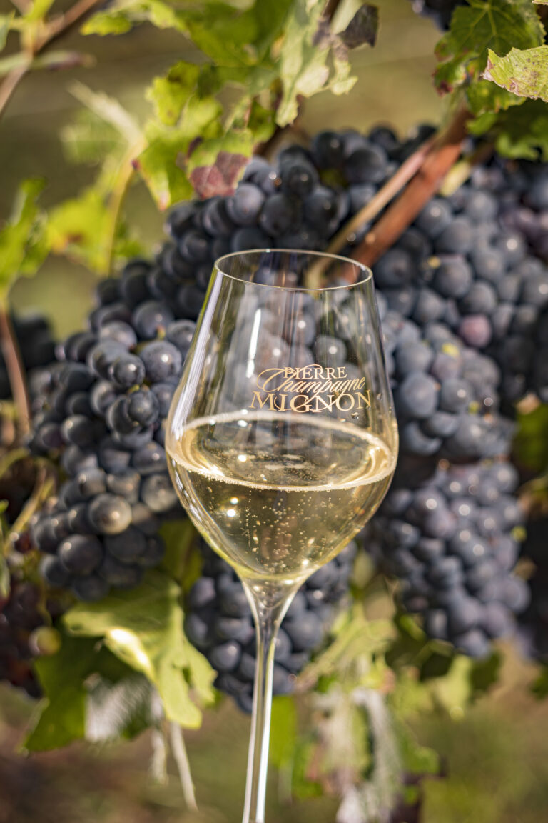 Pierre Mignon wine glass full w vineyard background2